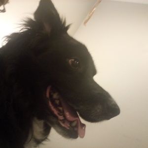 Meet your Posher, Leila